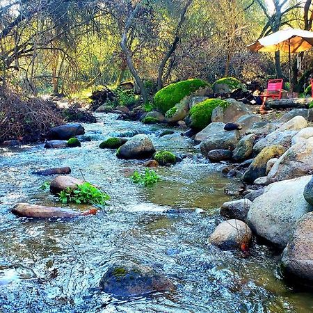Magical River House ! 10 Min To Snp Park Entrance Three Rivers Exterior foto