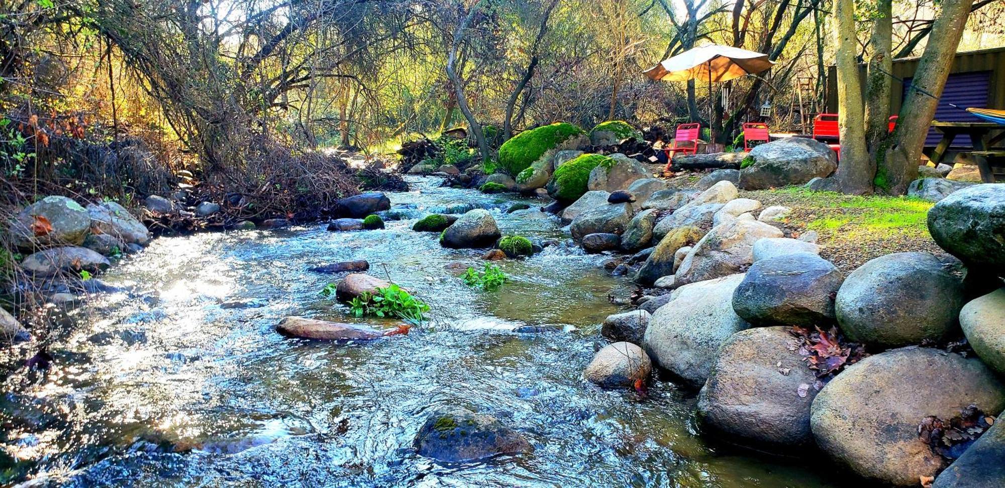 Magical River House ! 10 Min To Snp Park Entrance Three Rivers Exterior foto