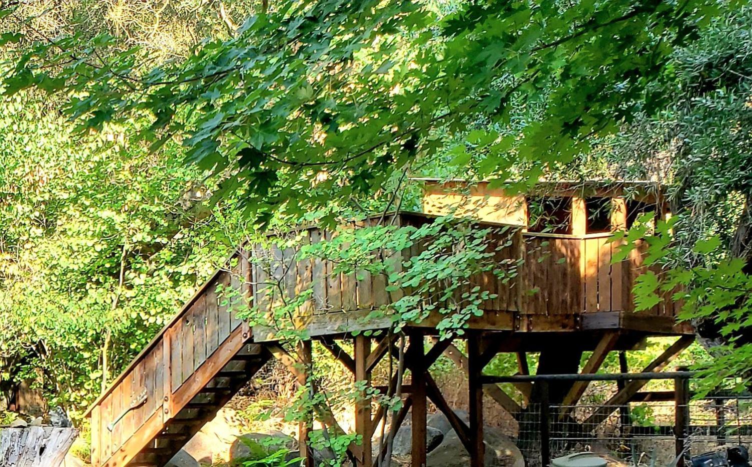 Magical River House ! 10 Min To Snp Park Entrance Three Rivers Exterior foto
